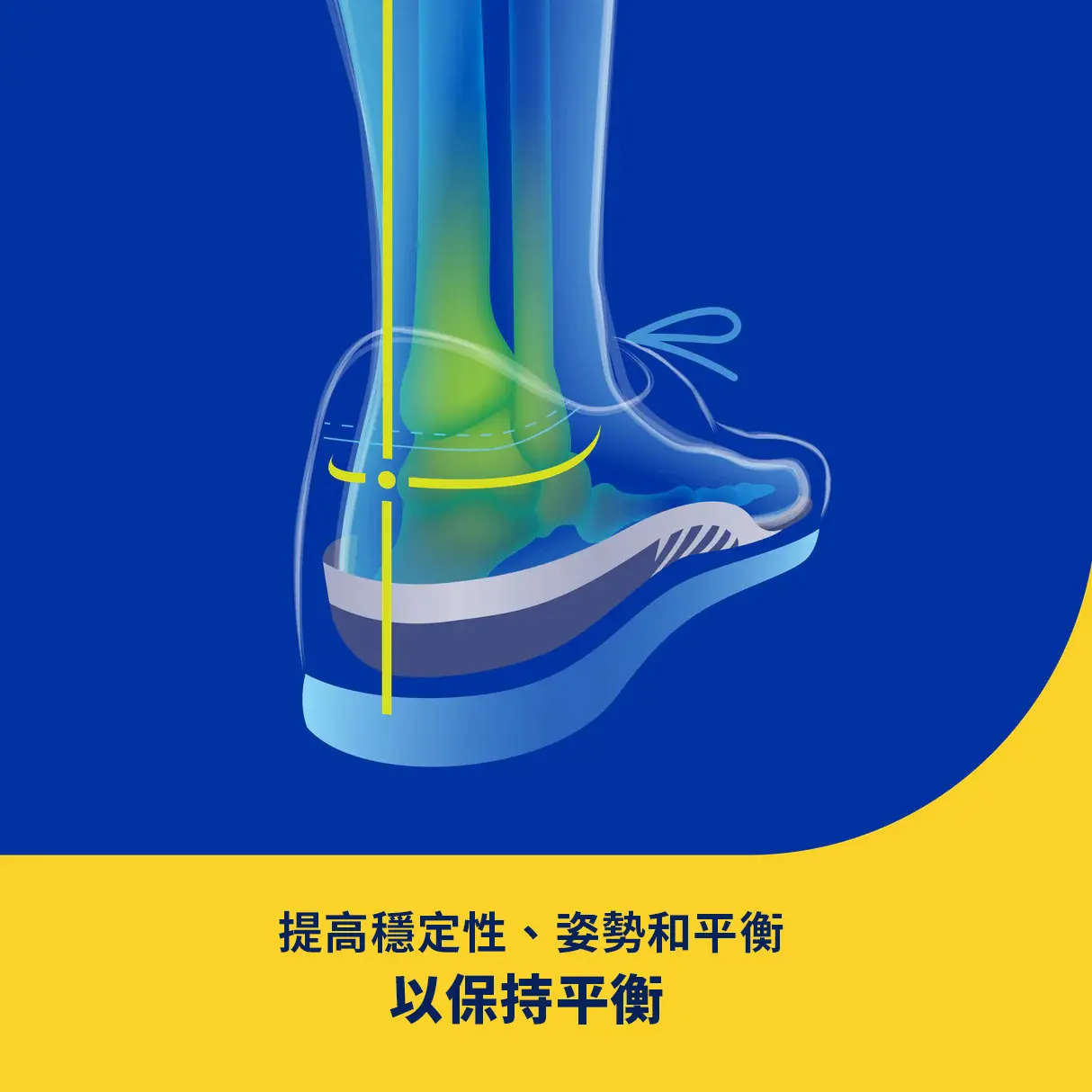 888853002774_Support_StabilitySupport_M_ATF_05-Labor.webp